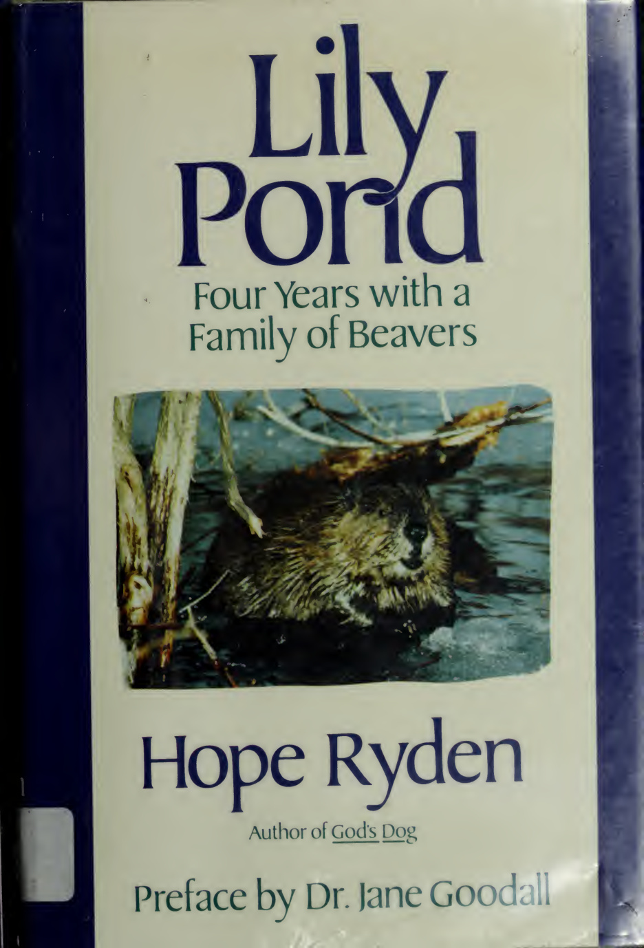 Cover of Lily Pond