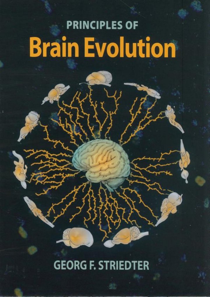 Cover of Principles of Brain Evolution
