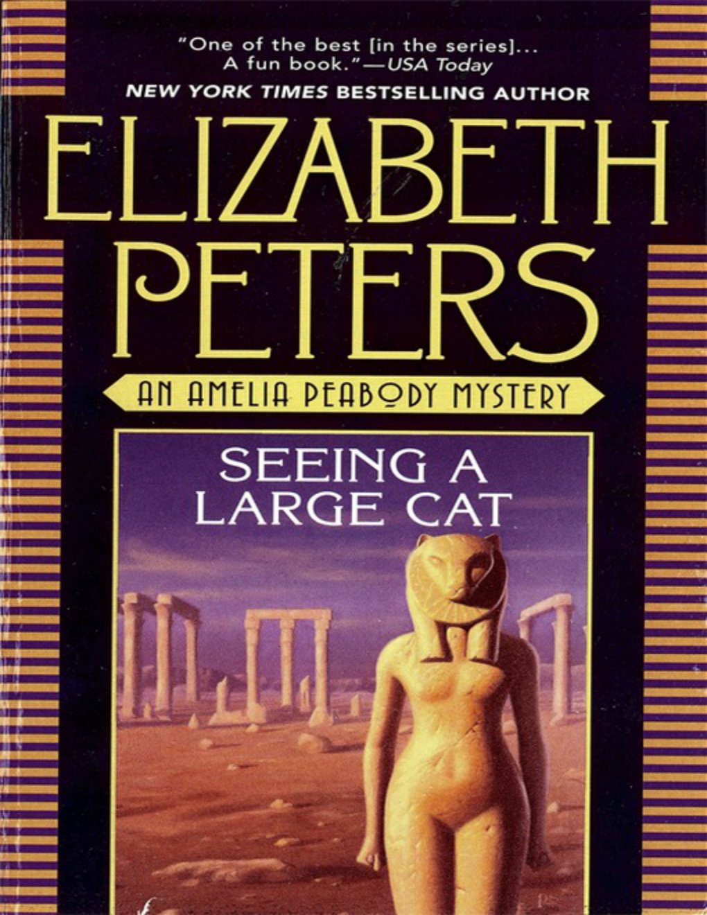 Cover of Seeing a Large Cat