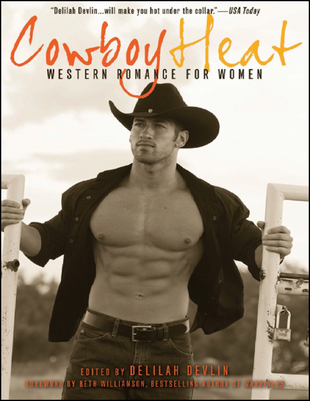 Cover of Cowboy Heat (2011)