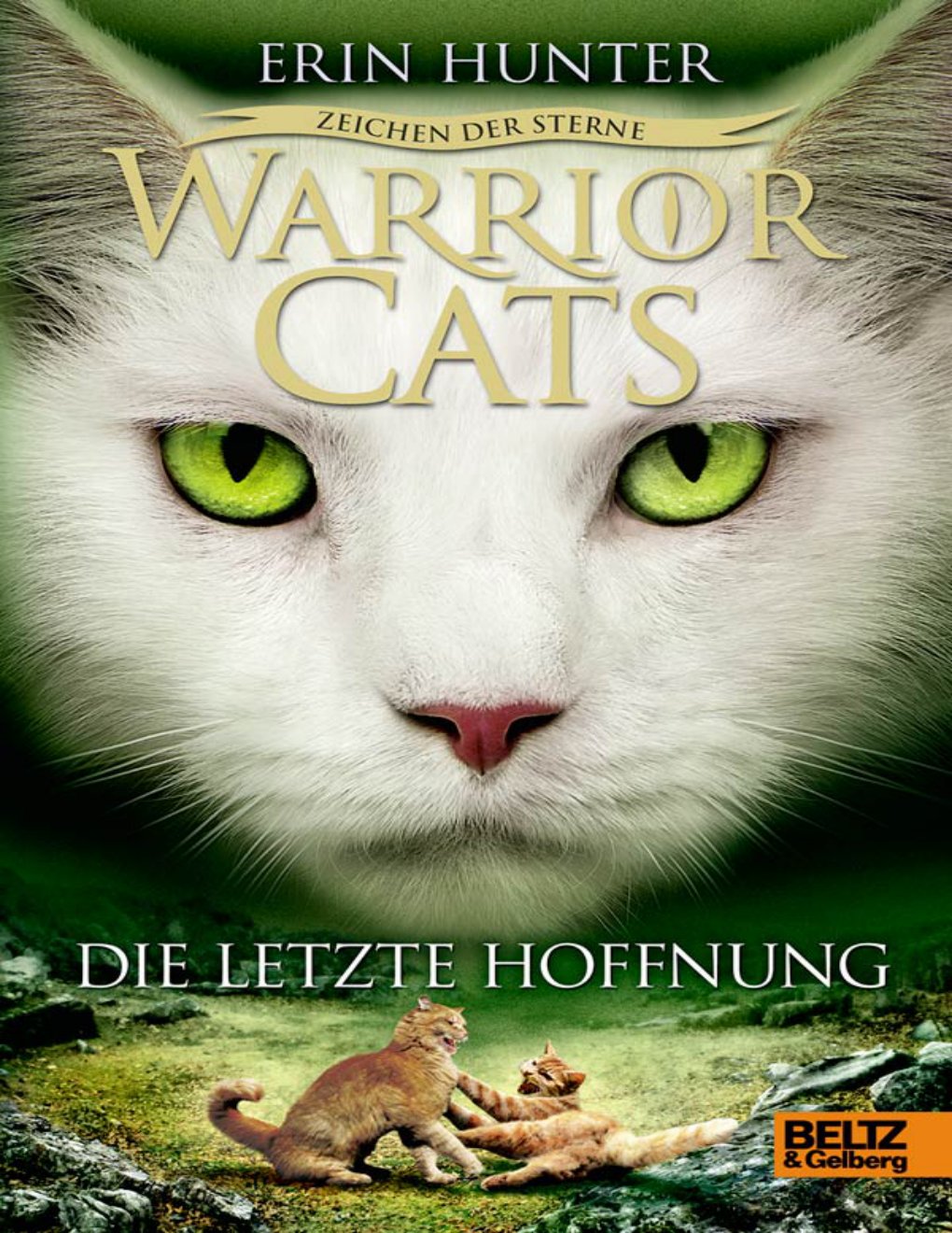 Cover of Die letzte Hoffnung