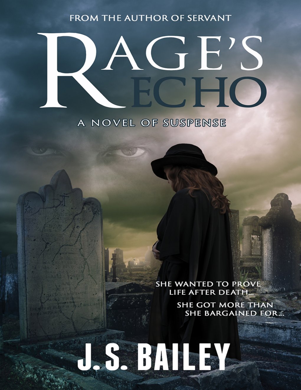 Cover of Rage's Echo