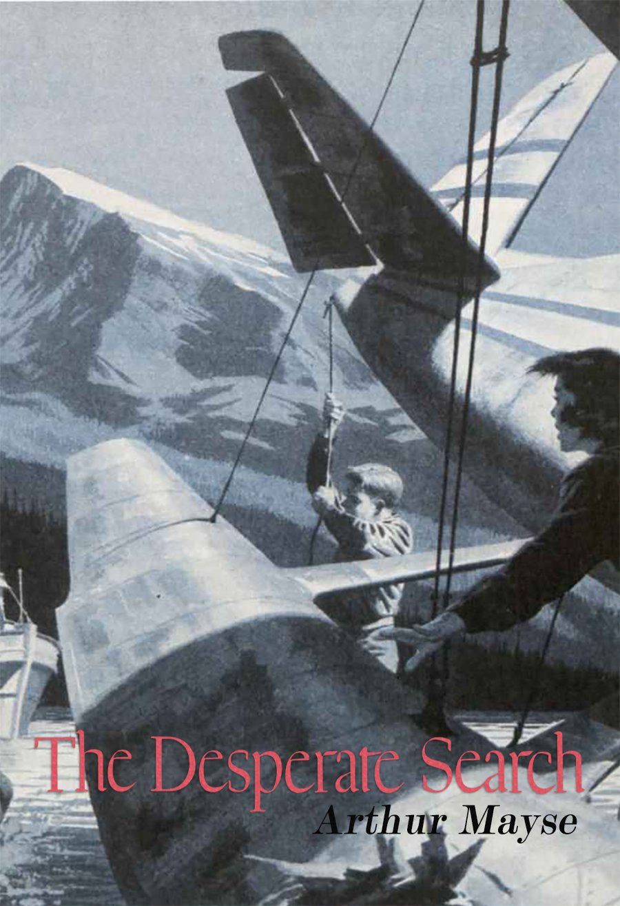 Cover of The Desperate Search