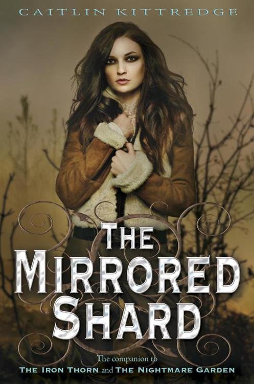 Cover of The Mirrored Shard (2013)