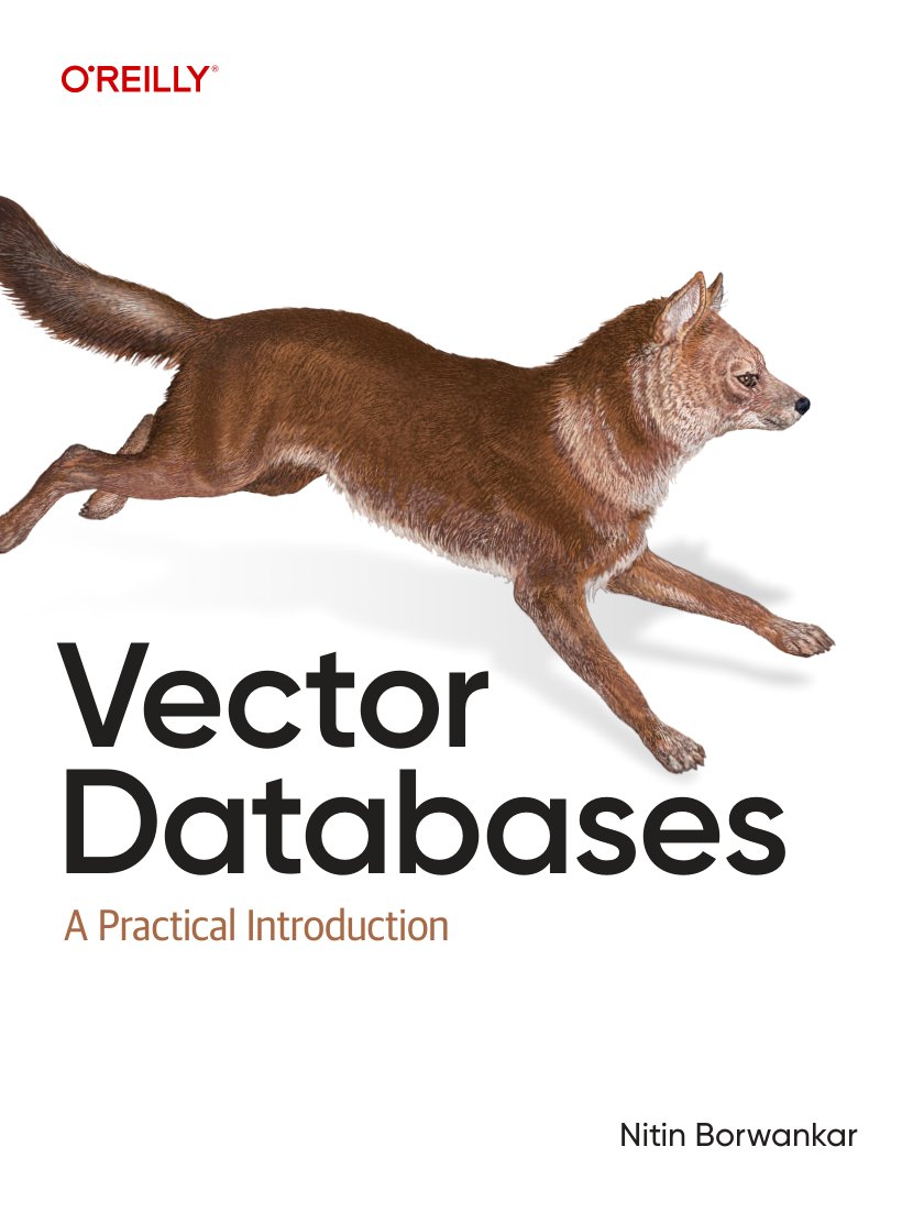Cover of Vector