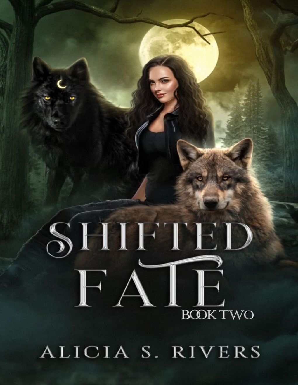 Cover of Shifted Fate : Book Two