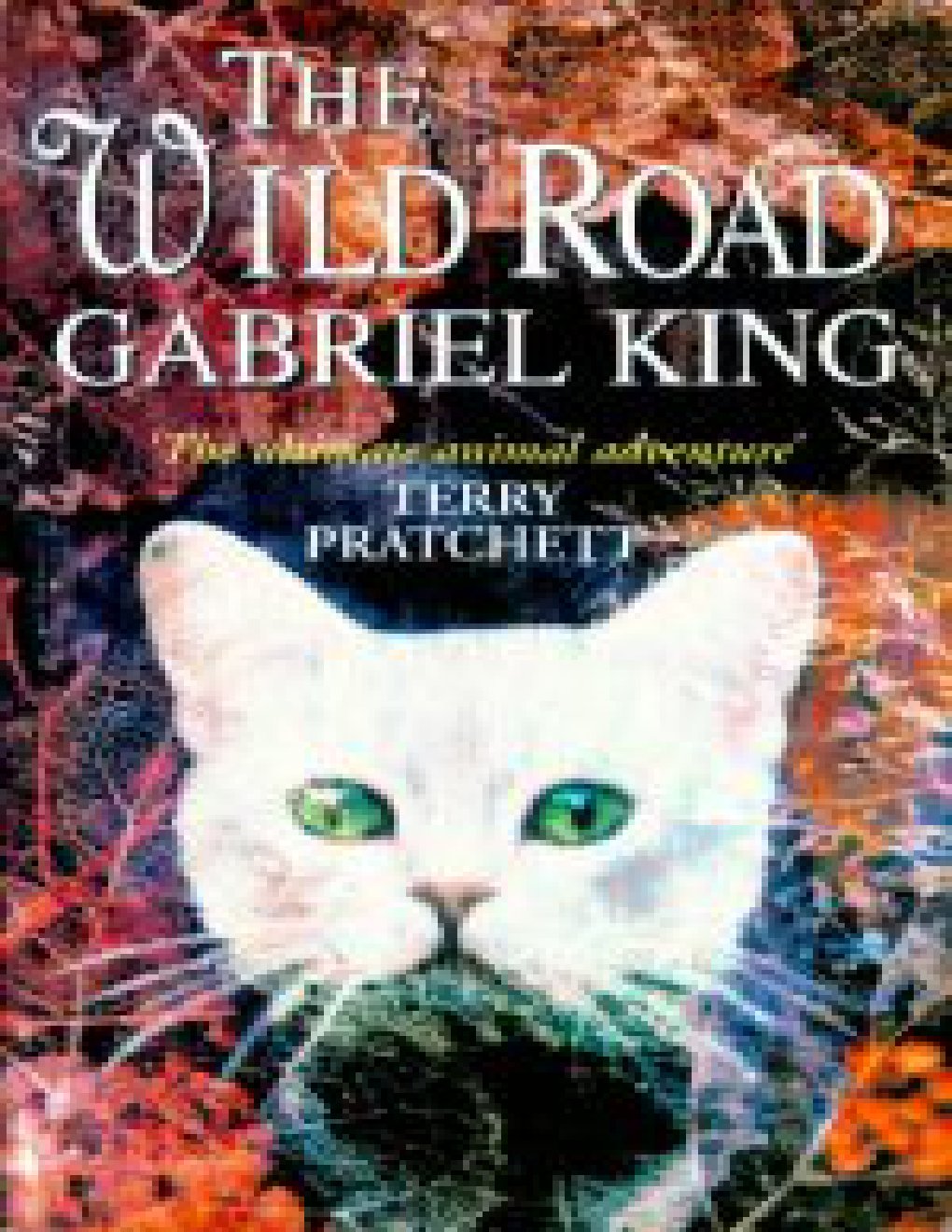 Cover of Gabriel King