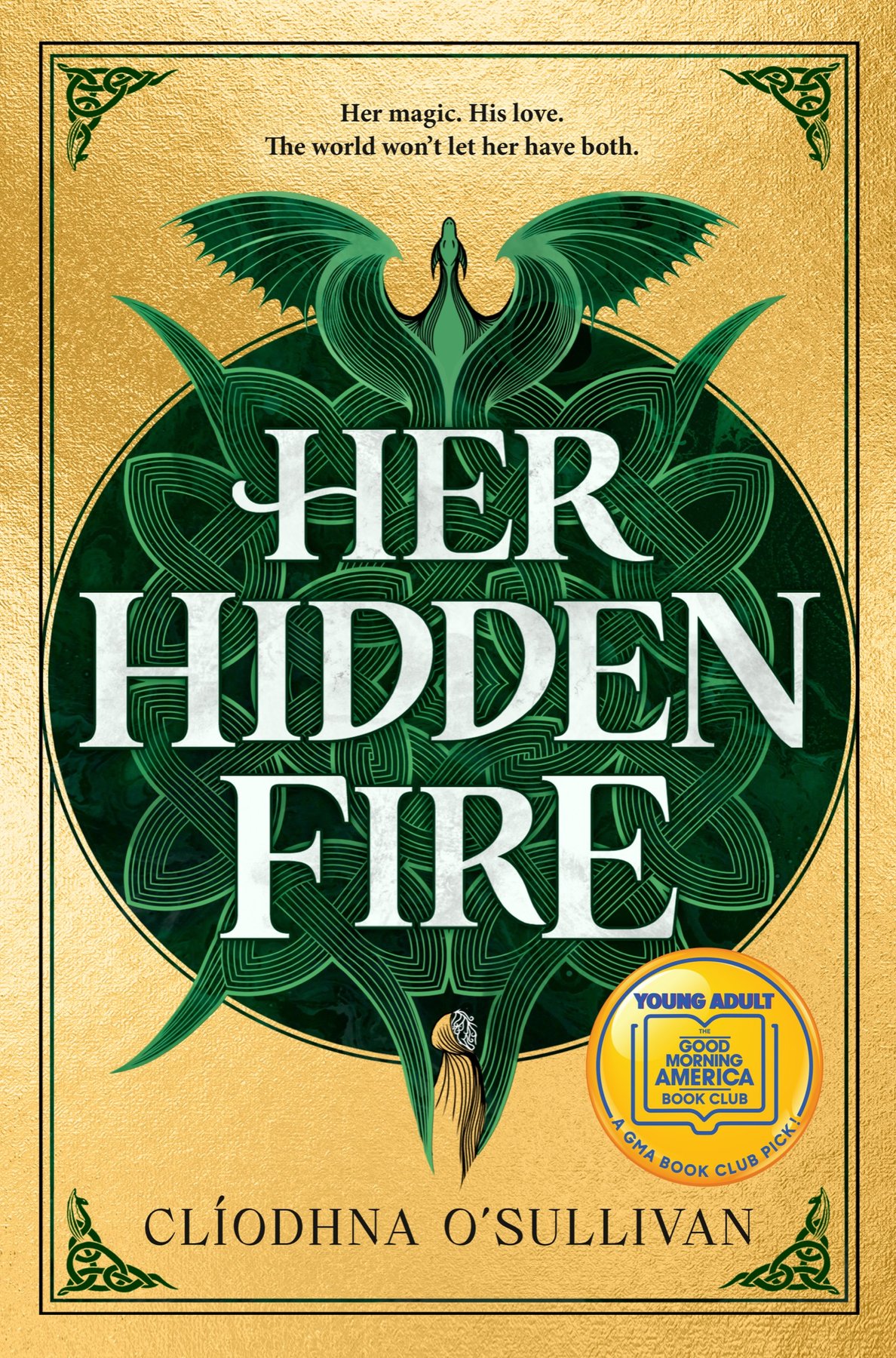 Cover of Her Hidden Fire