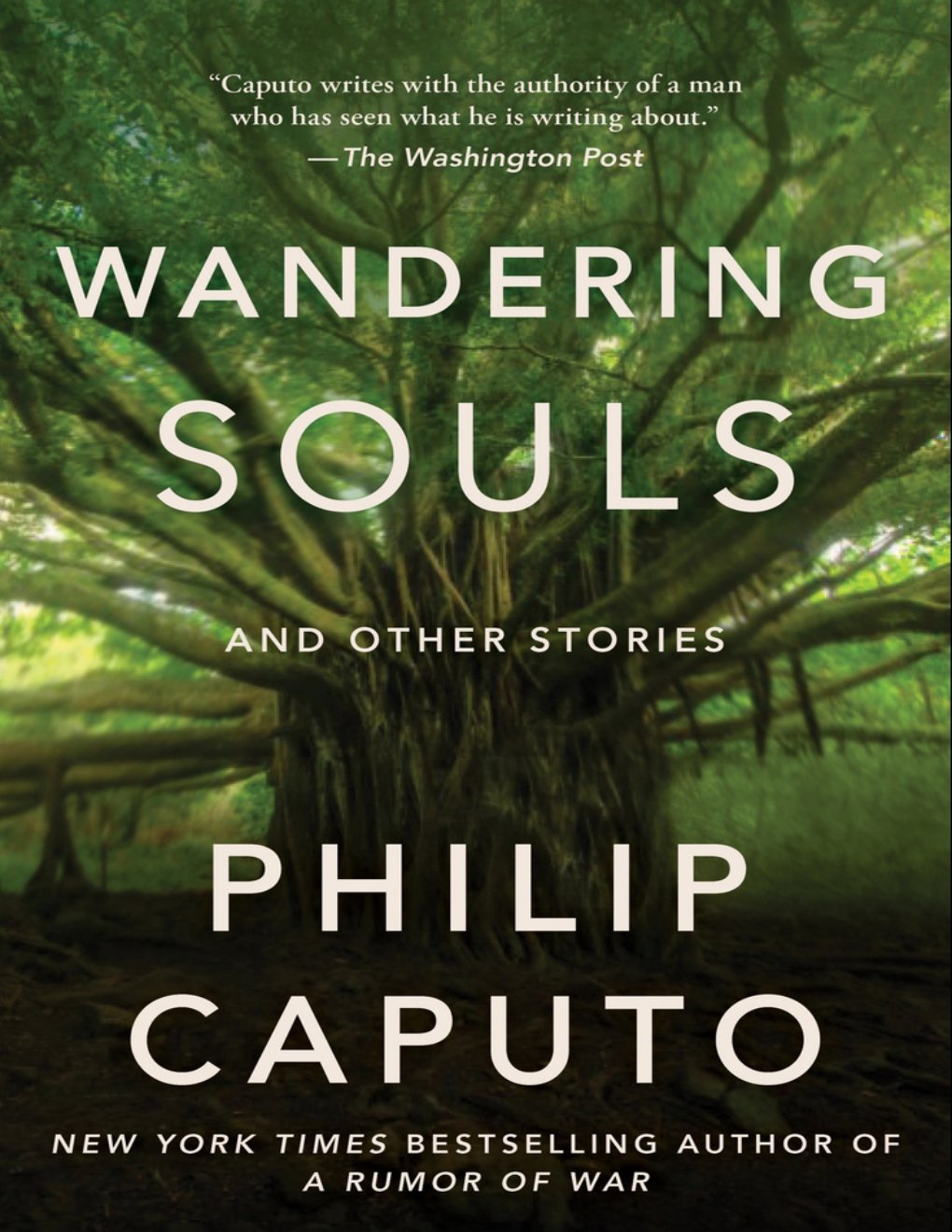 Cover of Wandering Souls