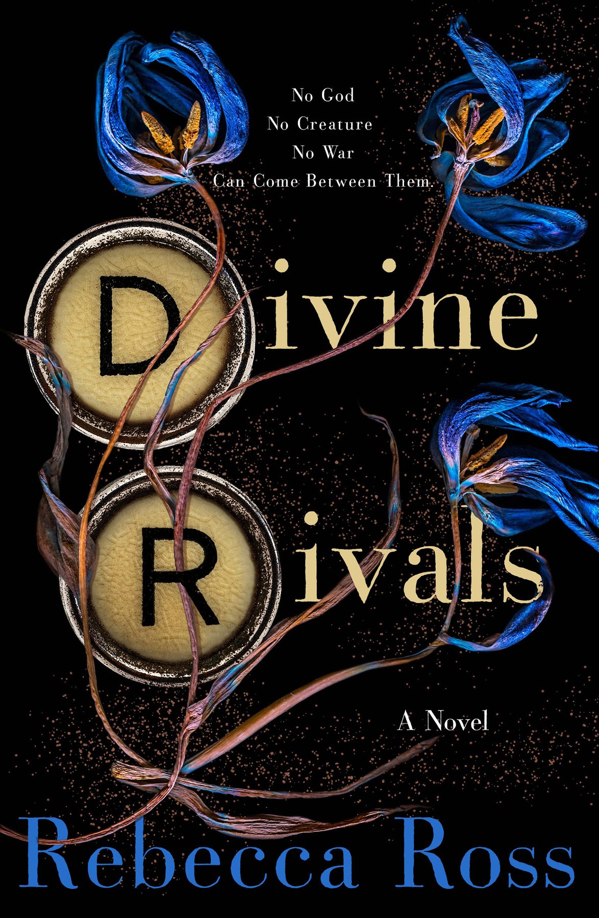 Cover of Divine Rivals (2023)