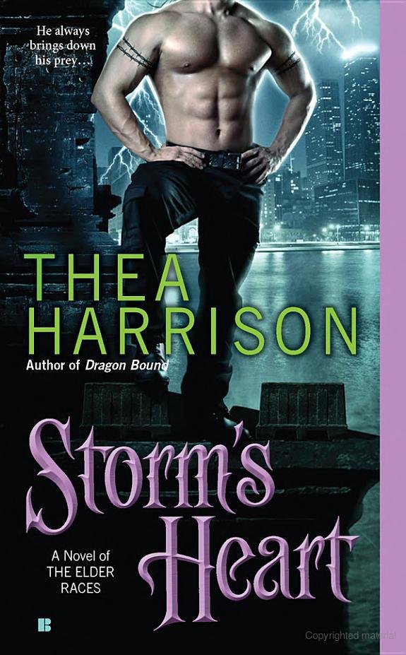 Cover of Storm's Heart (2011)