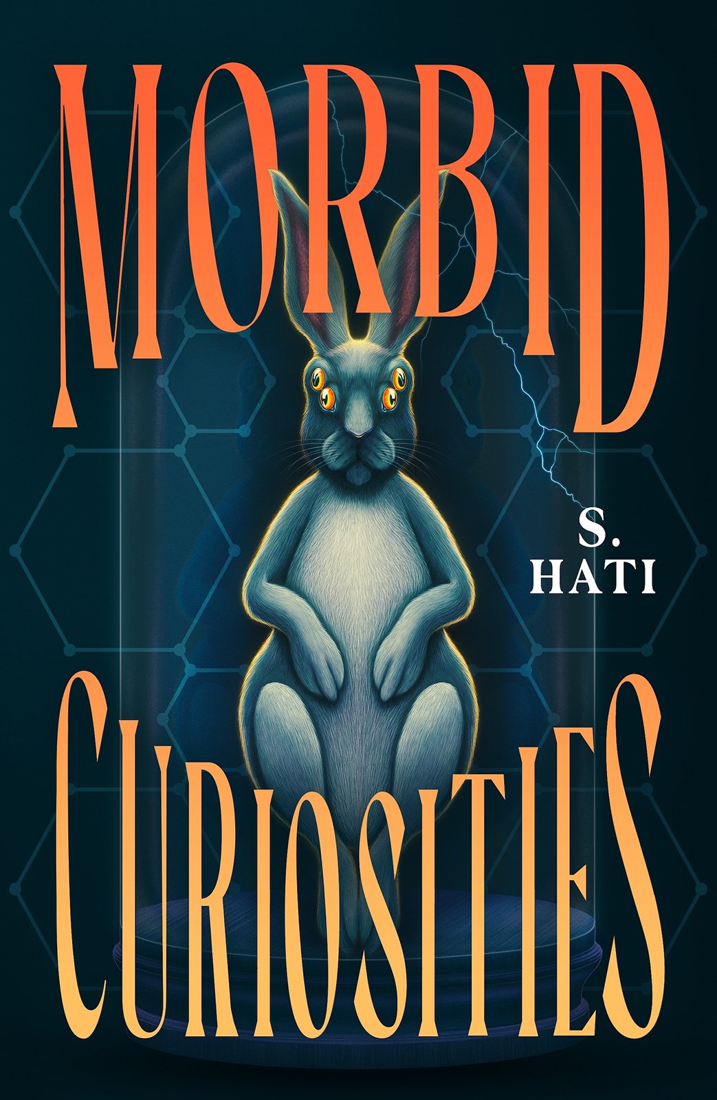 Cover of Morbid Curiosities