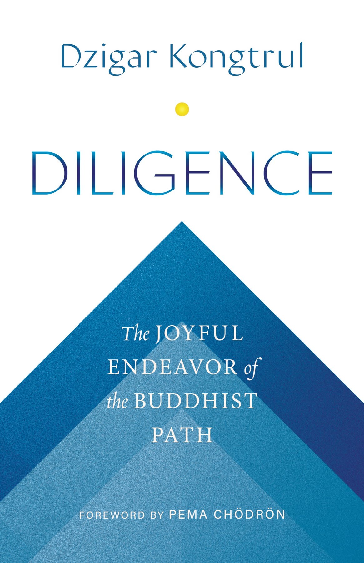 Cover of Diligence