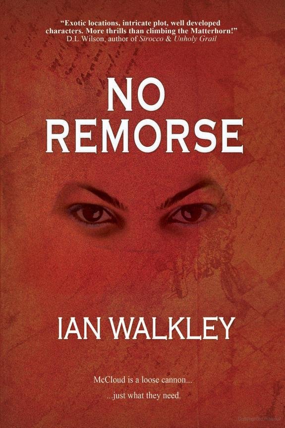 Cover of No Remorse