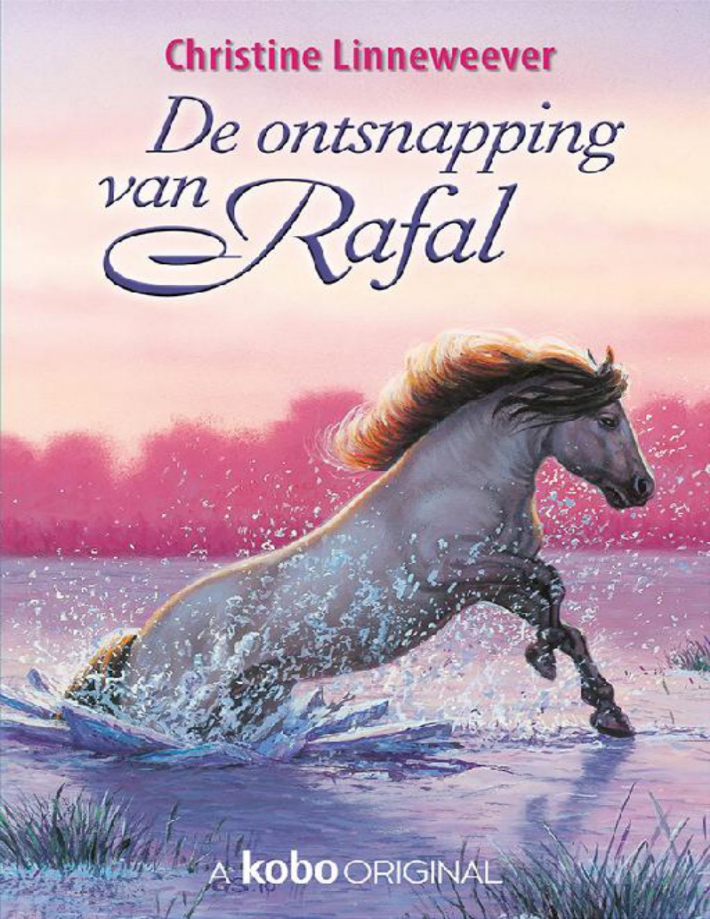 Cover of De ontsnapping van Rafal
