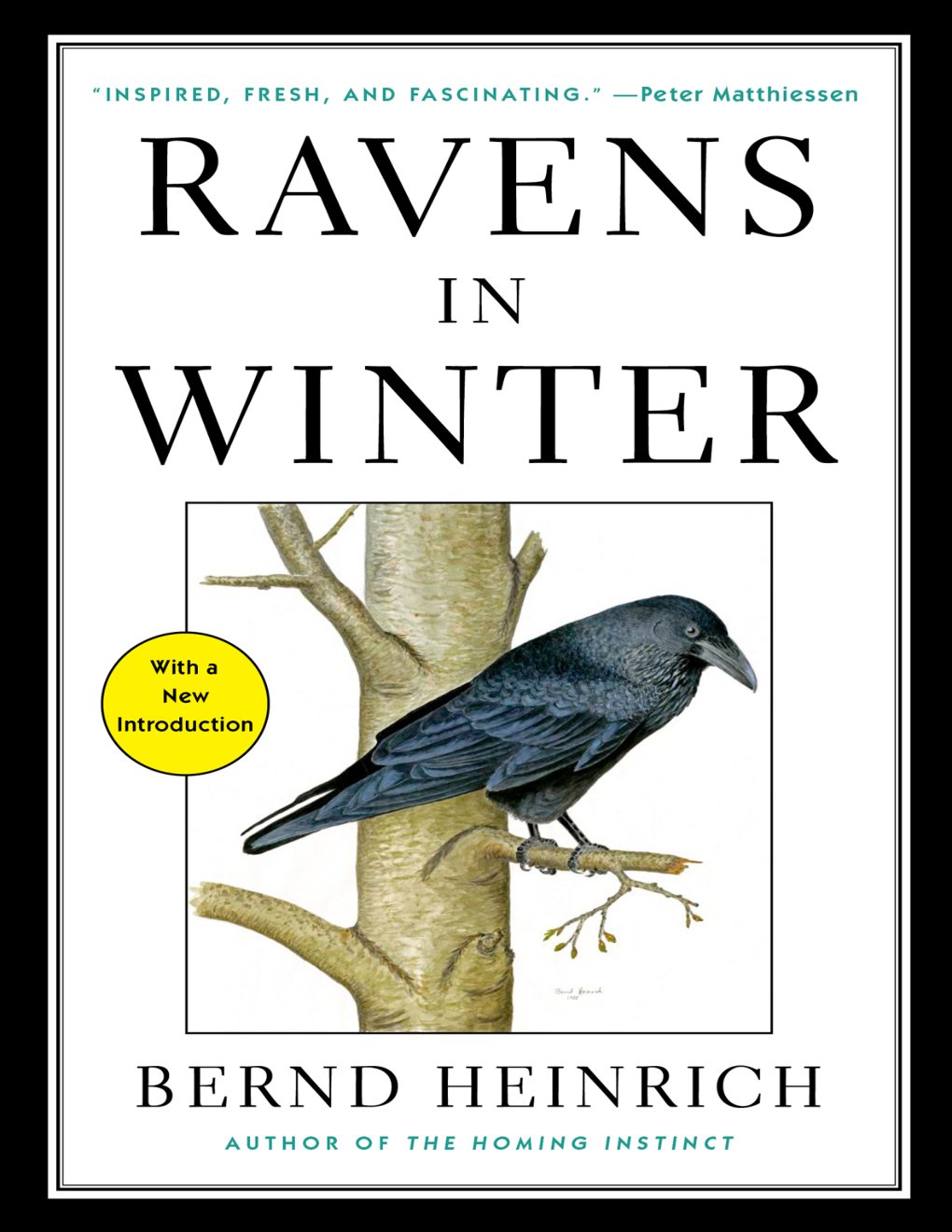 Cover of Ravens in Winter