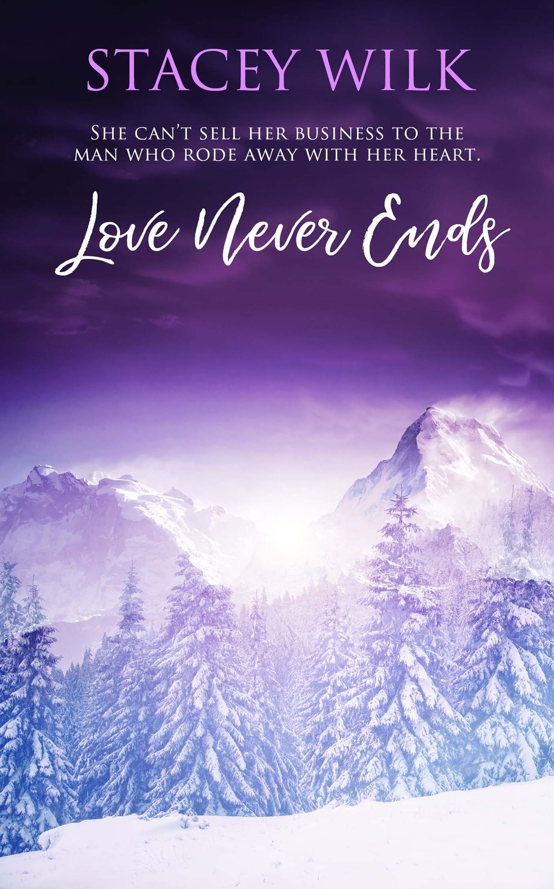 Cover of Love Never Ends