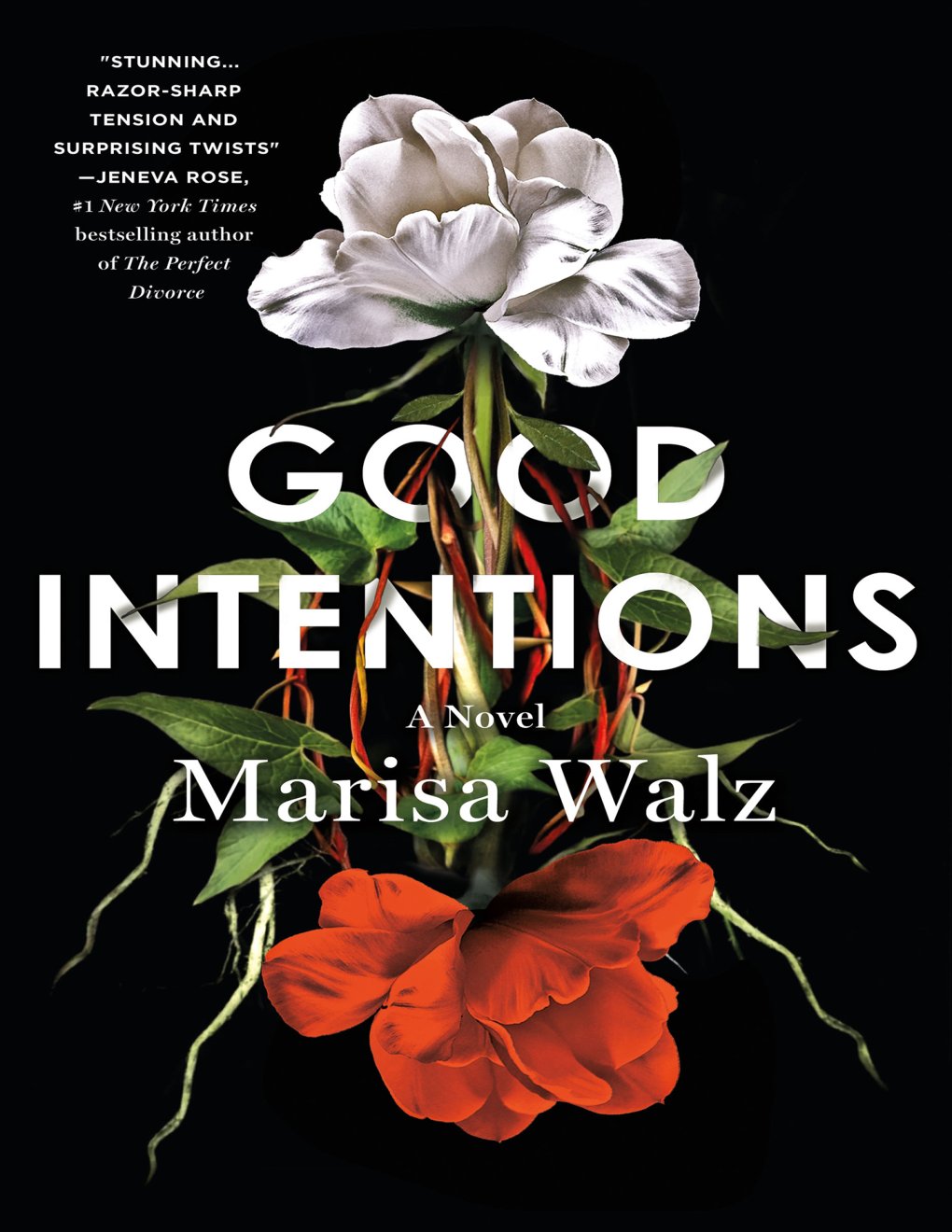 Cover of Good Intentions