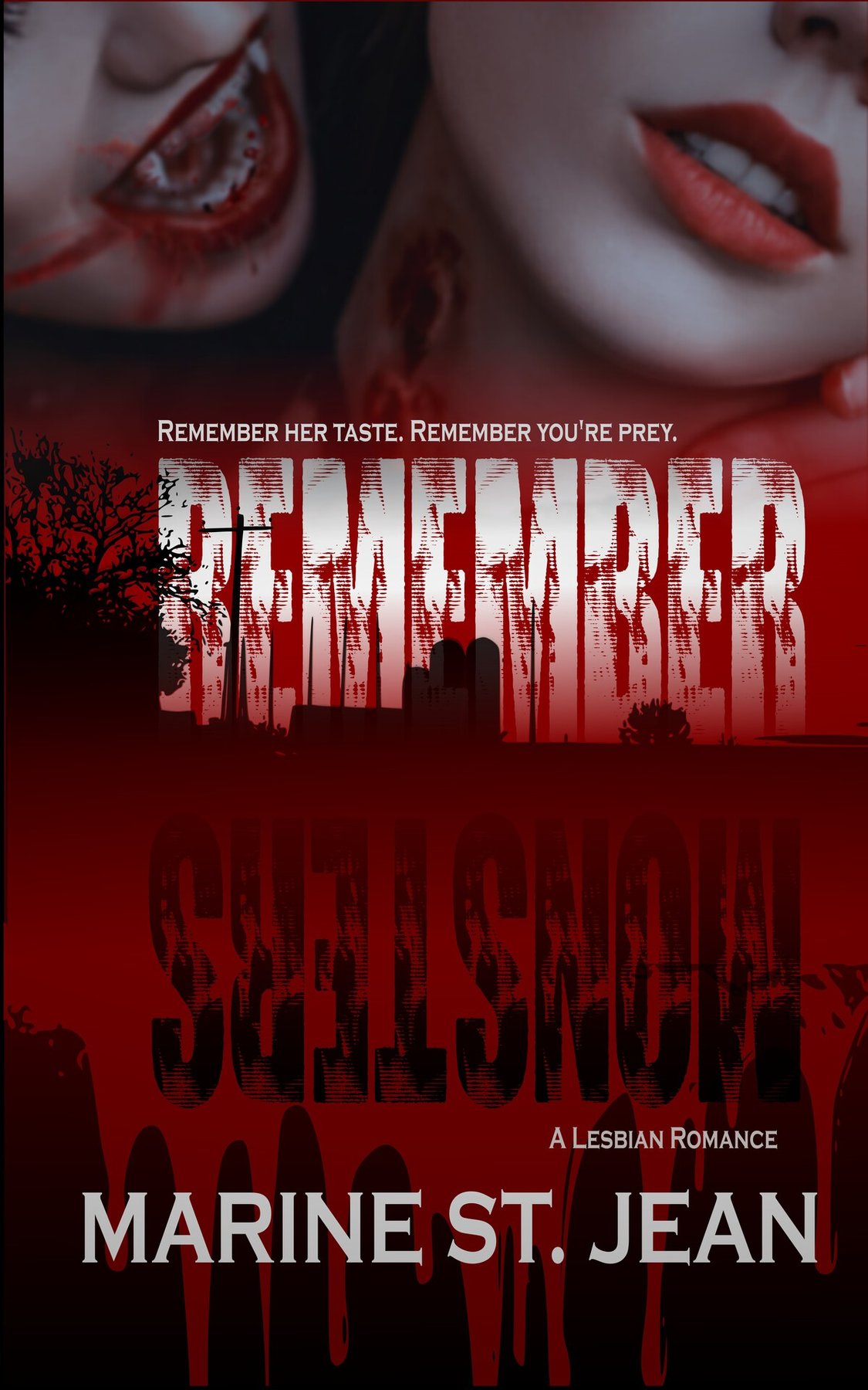 Cover of Remember Monsters