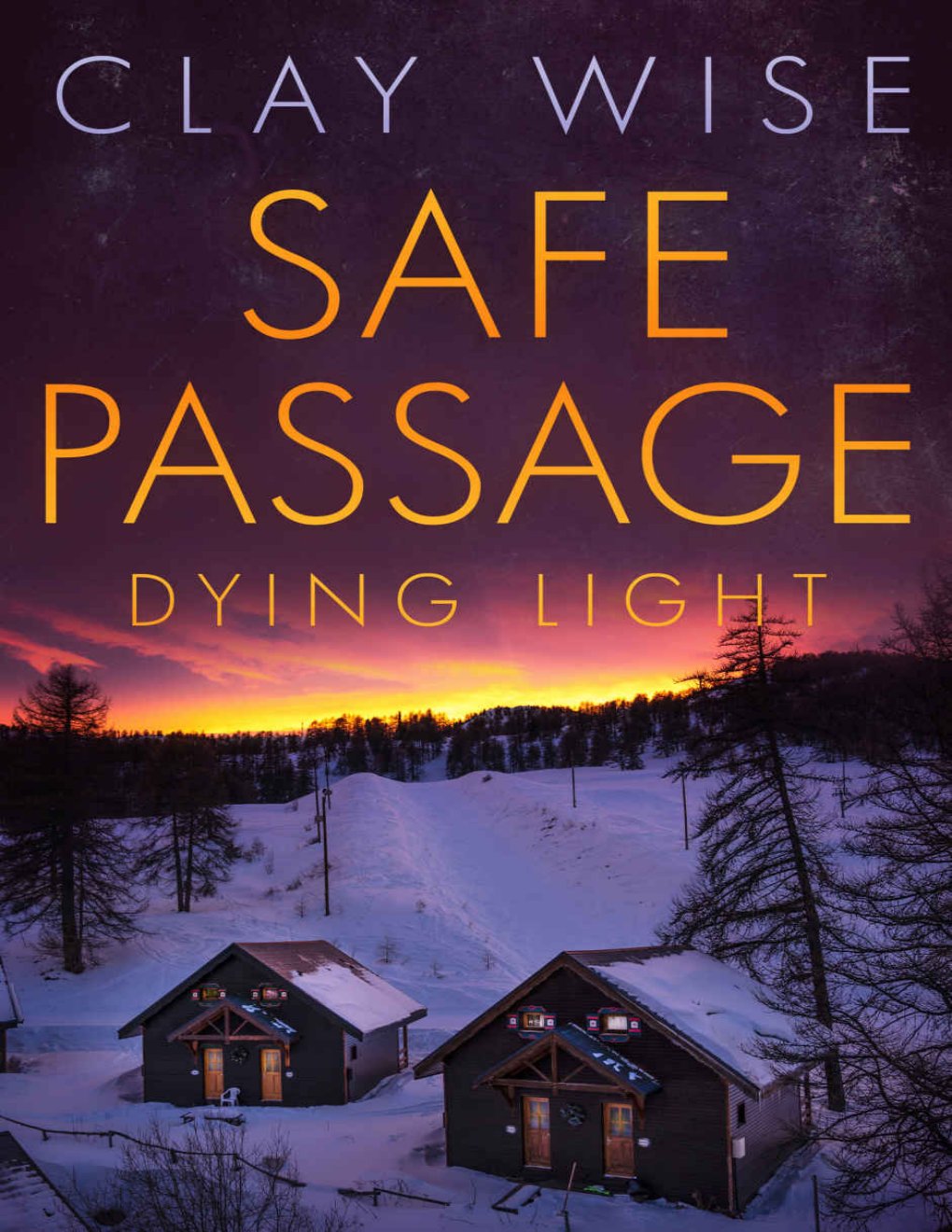 Cover of Safe Passage: Dying Light