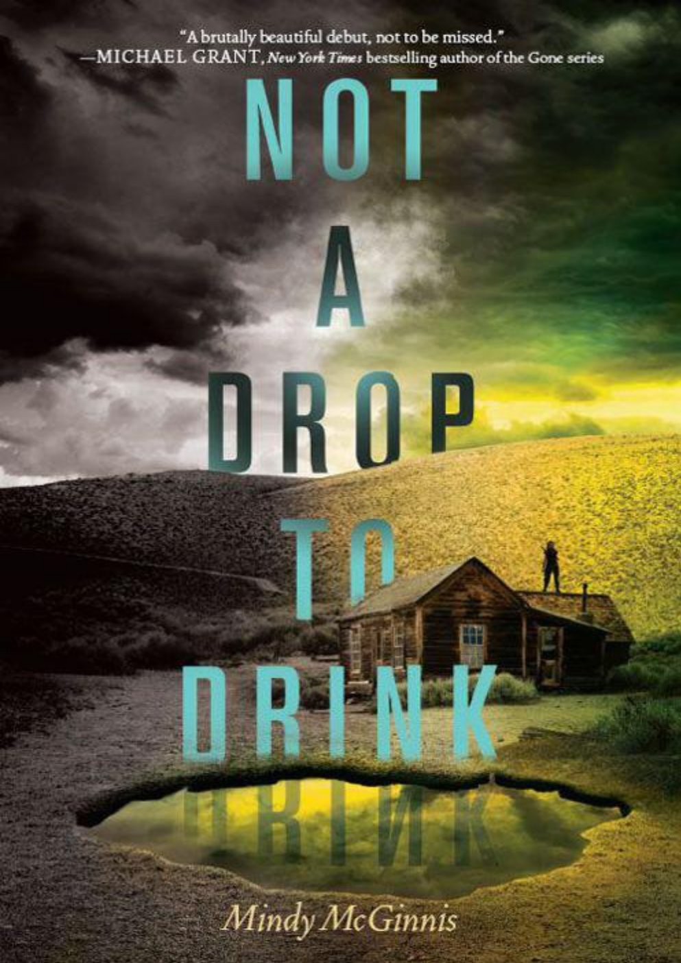 Cover of Not a Drop to Drink