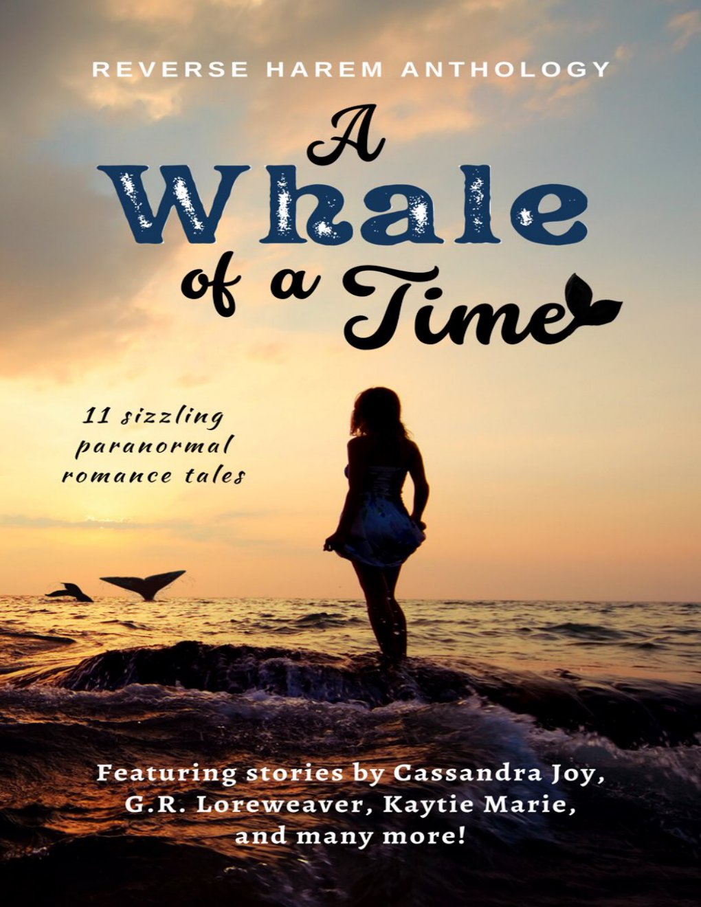 Cover of A Whale of a Time (1872)