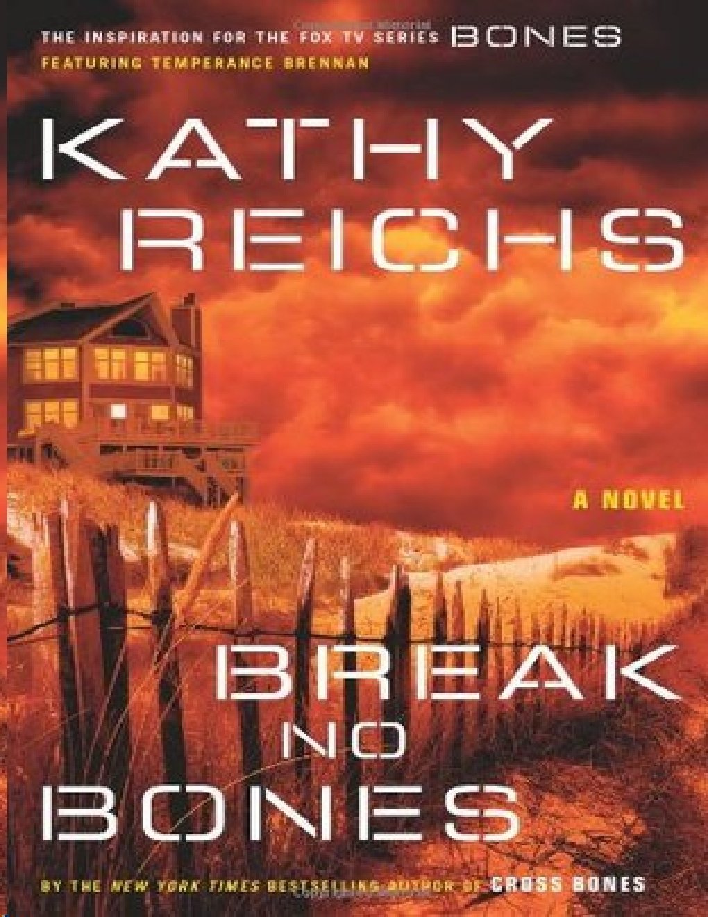 Cover of Break No Bones (1949)