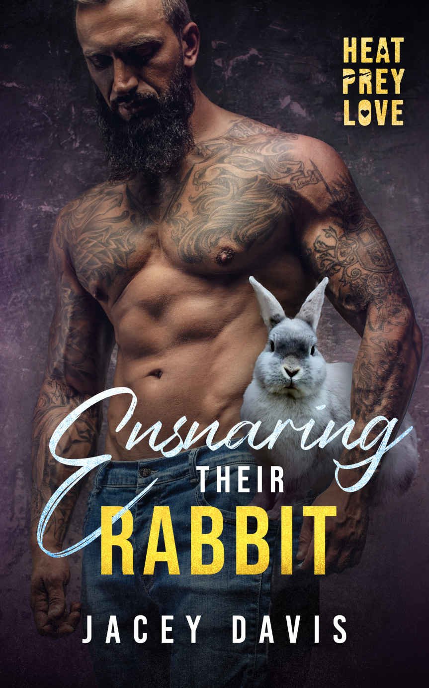 Cover of Ensnaring Their Rabbit