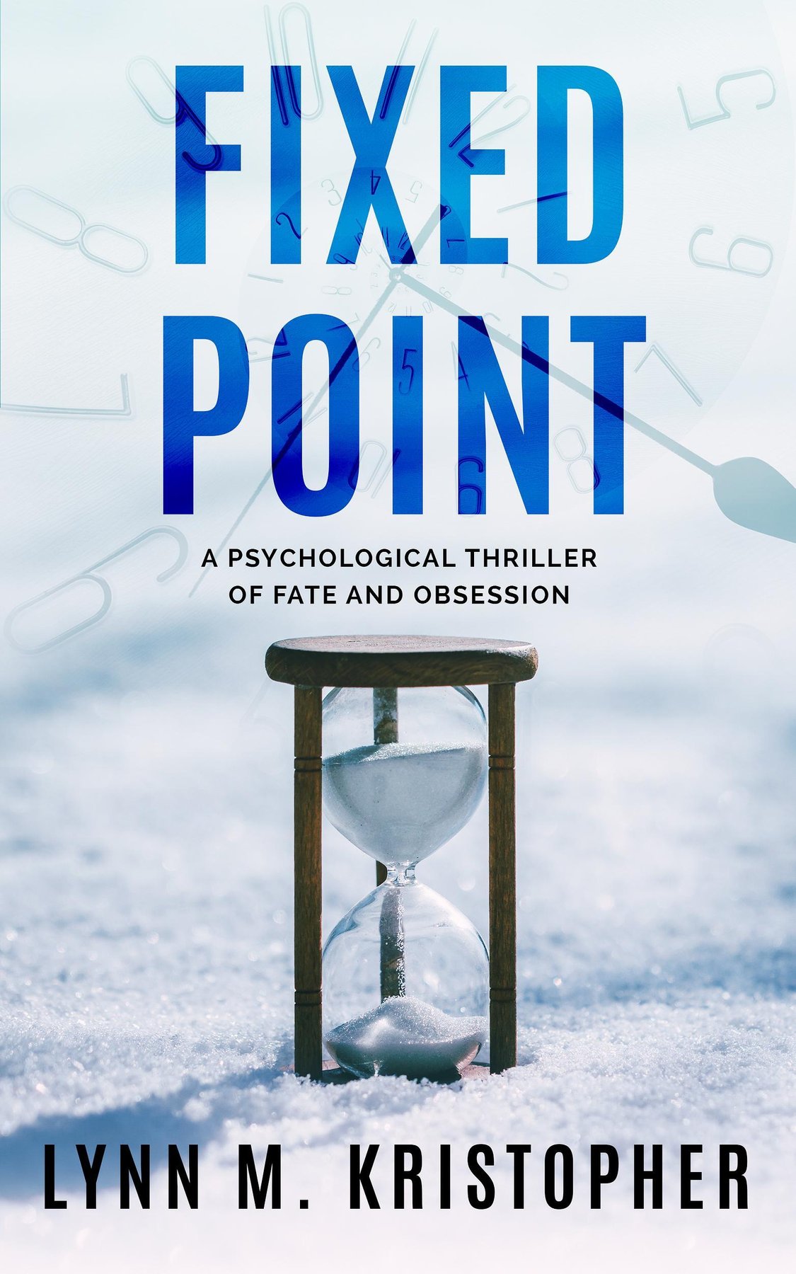 Cover of Fixed Point