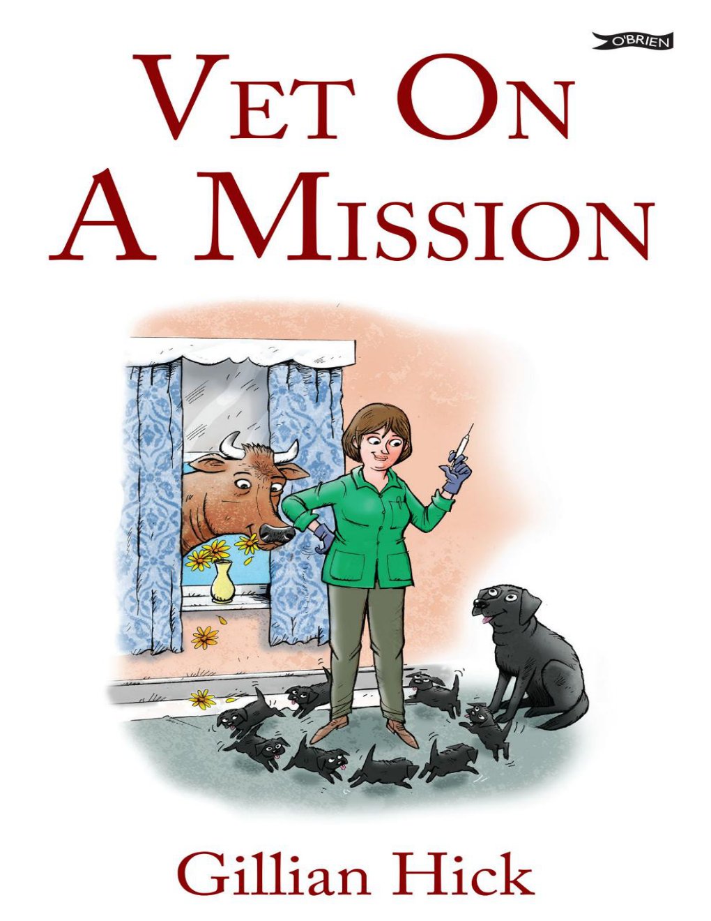 Cover of Vet On a Mission