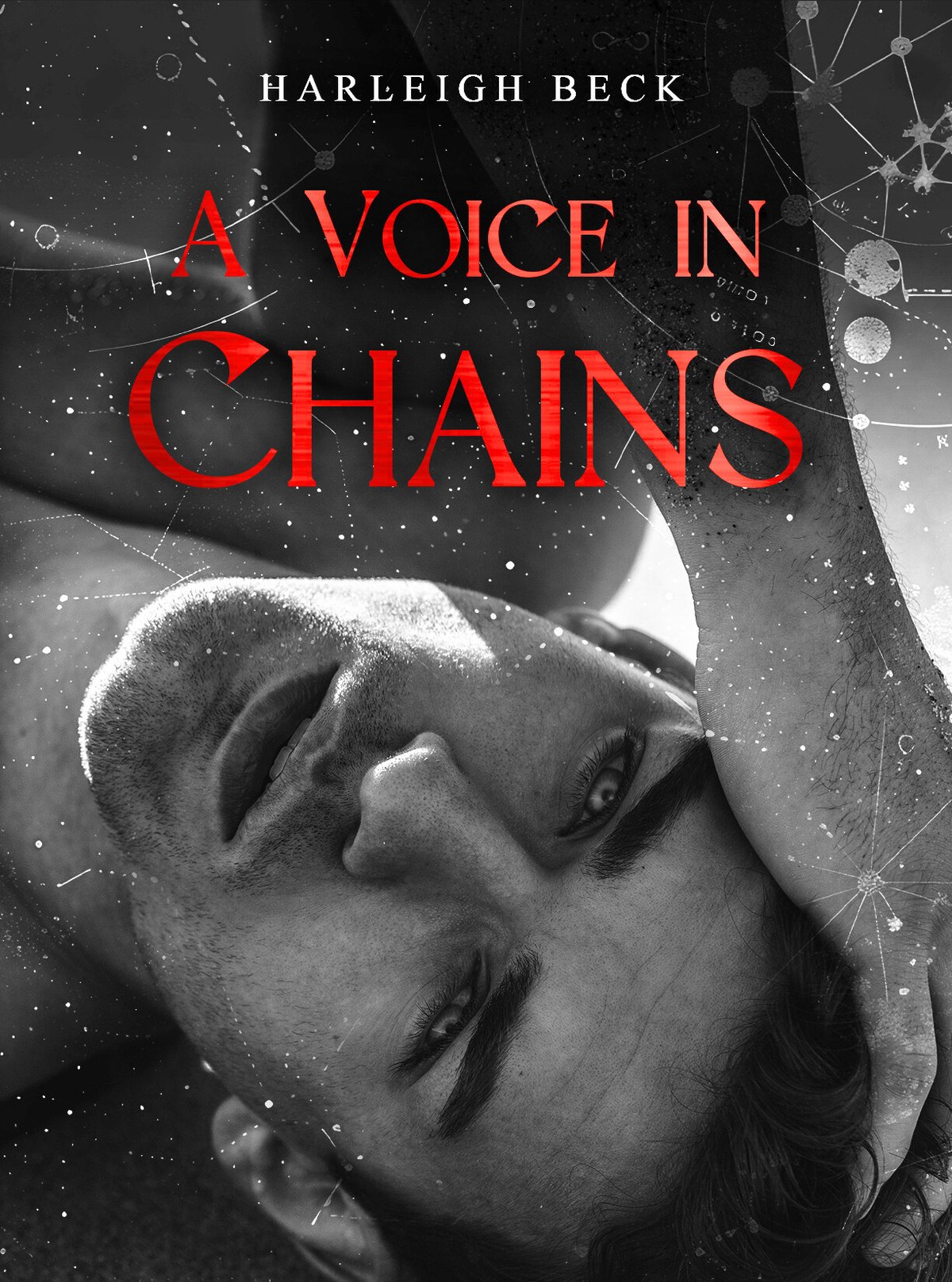 Cover of A Voice In Chains