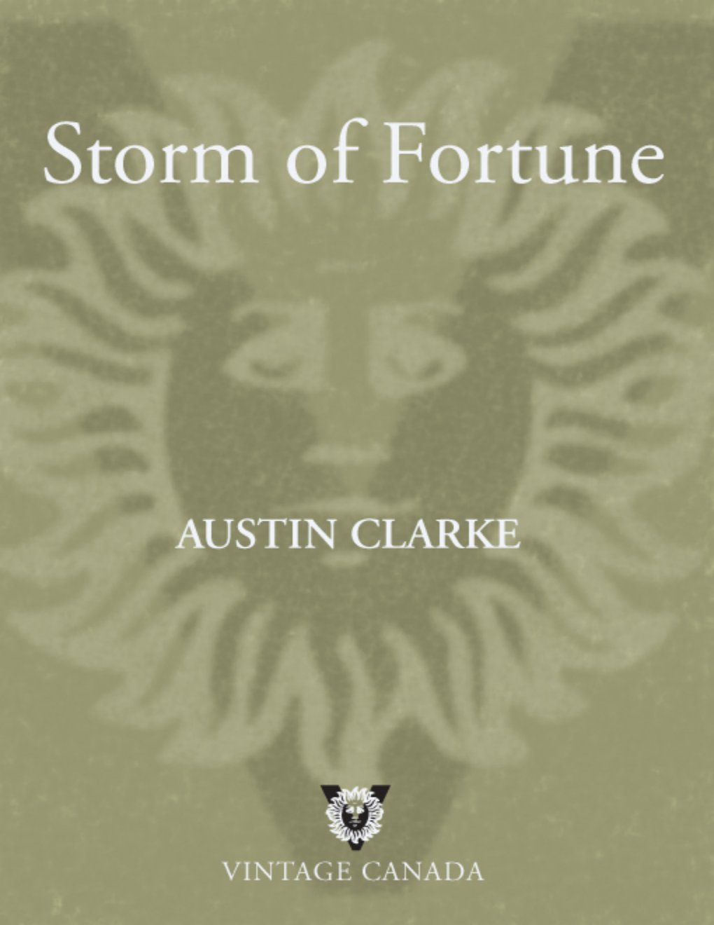 Cover of Storm of Fortune