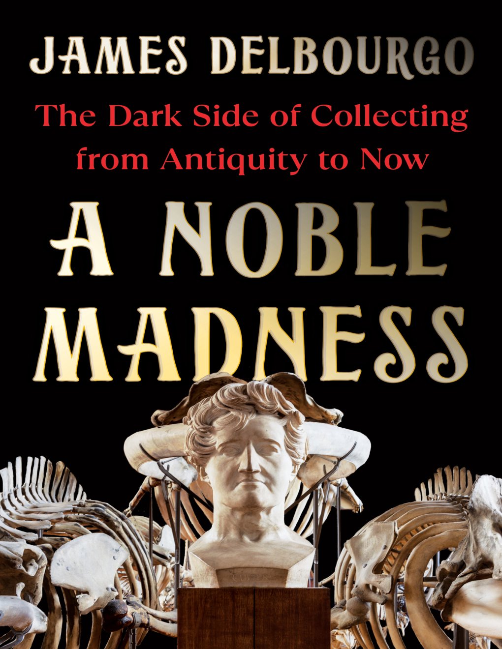 Cover of A Noble Madness