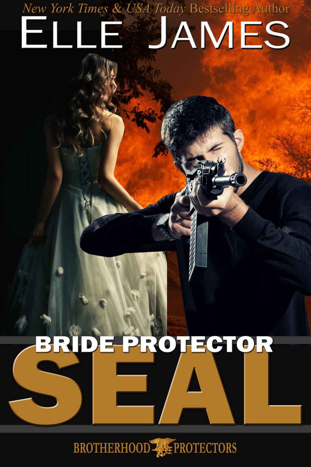 Cover of Bride Protector SEAL
