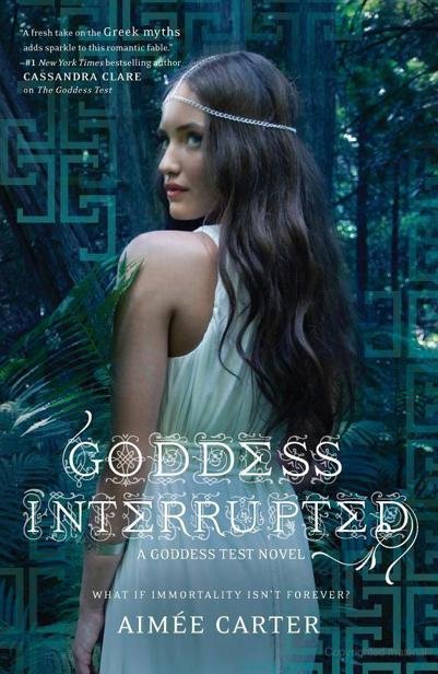 Cover of Goddess Interrupted