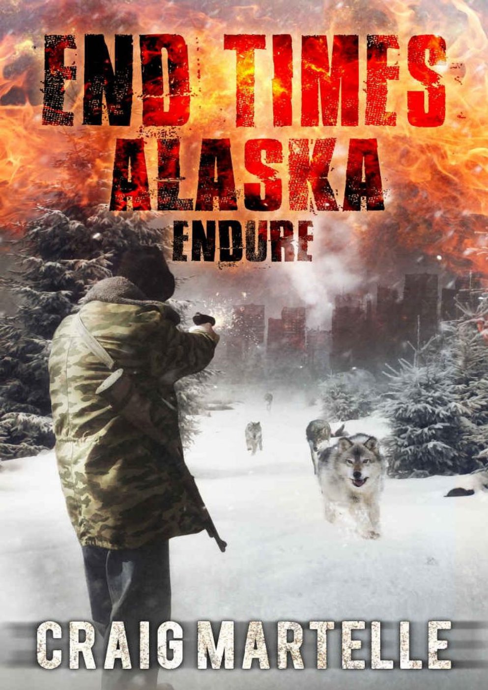 Cover of Endure (2016)