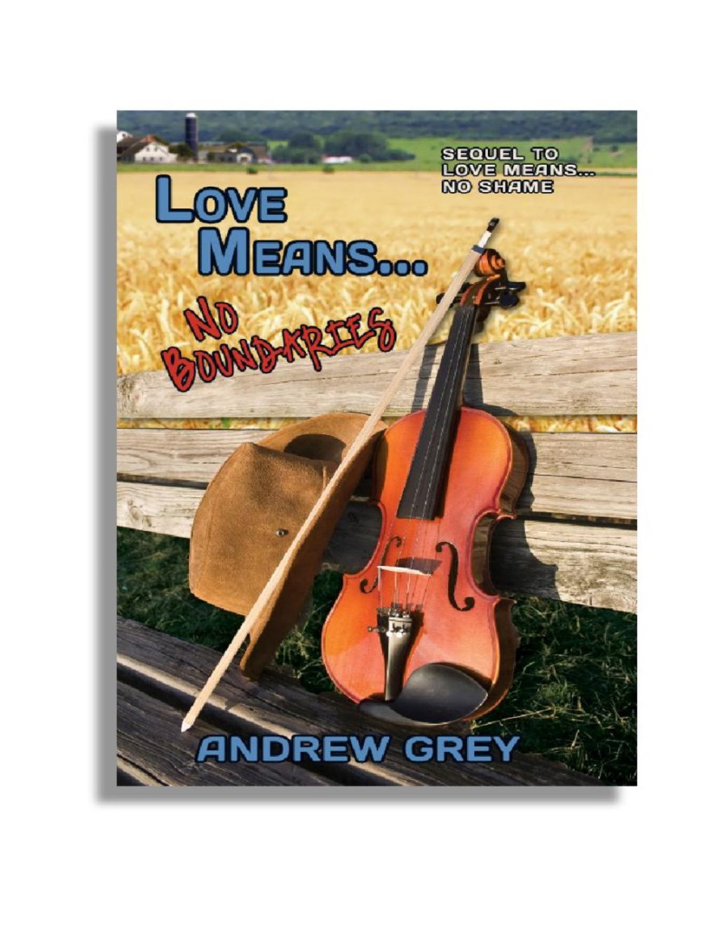 Cover of Love Means No Boundaries