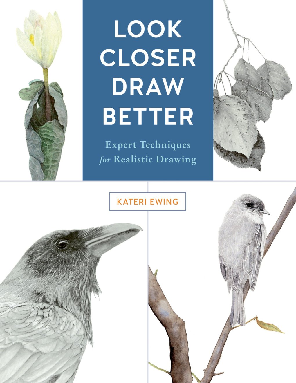 Cover of Look Closer, Draw Better