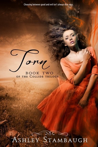 Cover of Torn