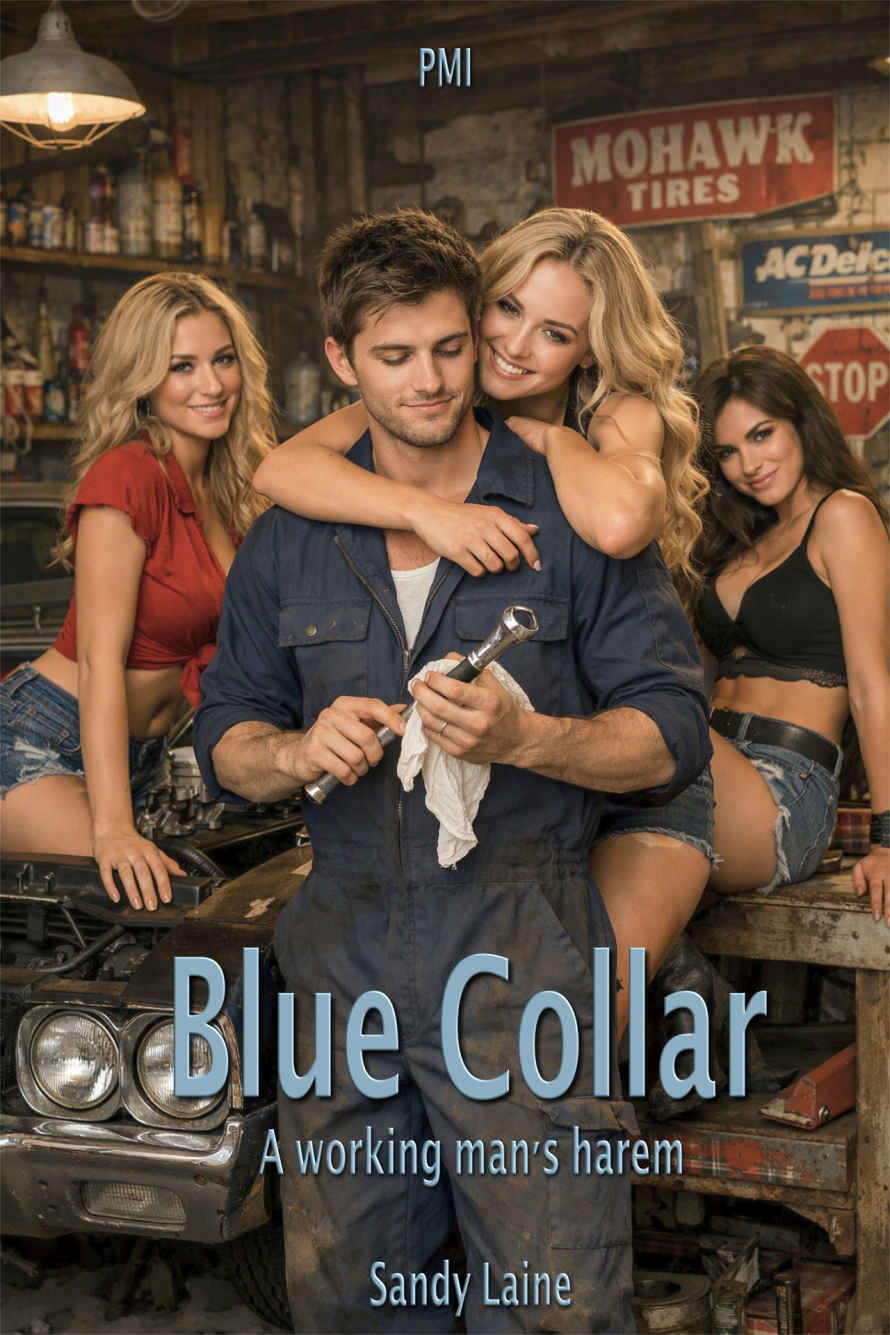 Cover of Blue Collar: A working man's harem (Harem Dreams)