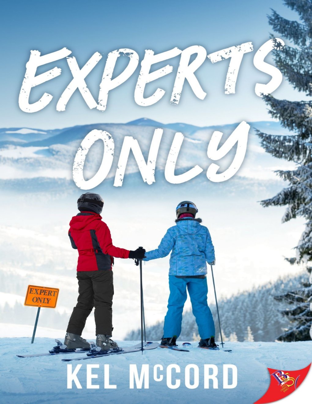 Cover of Experts Only