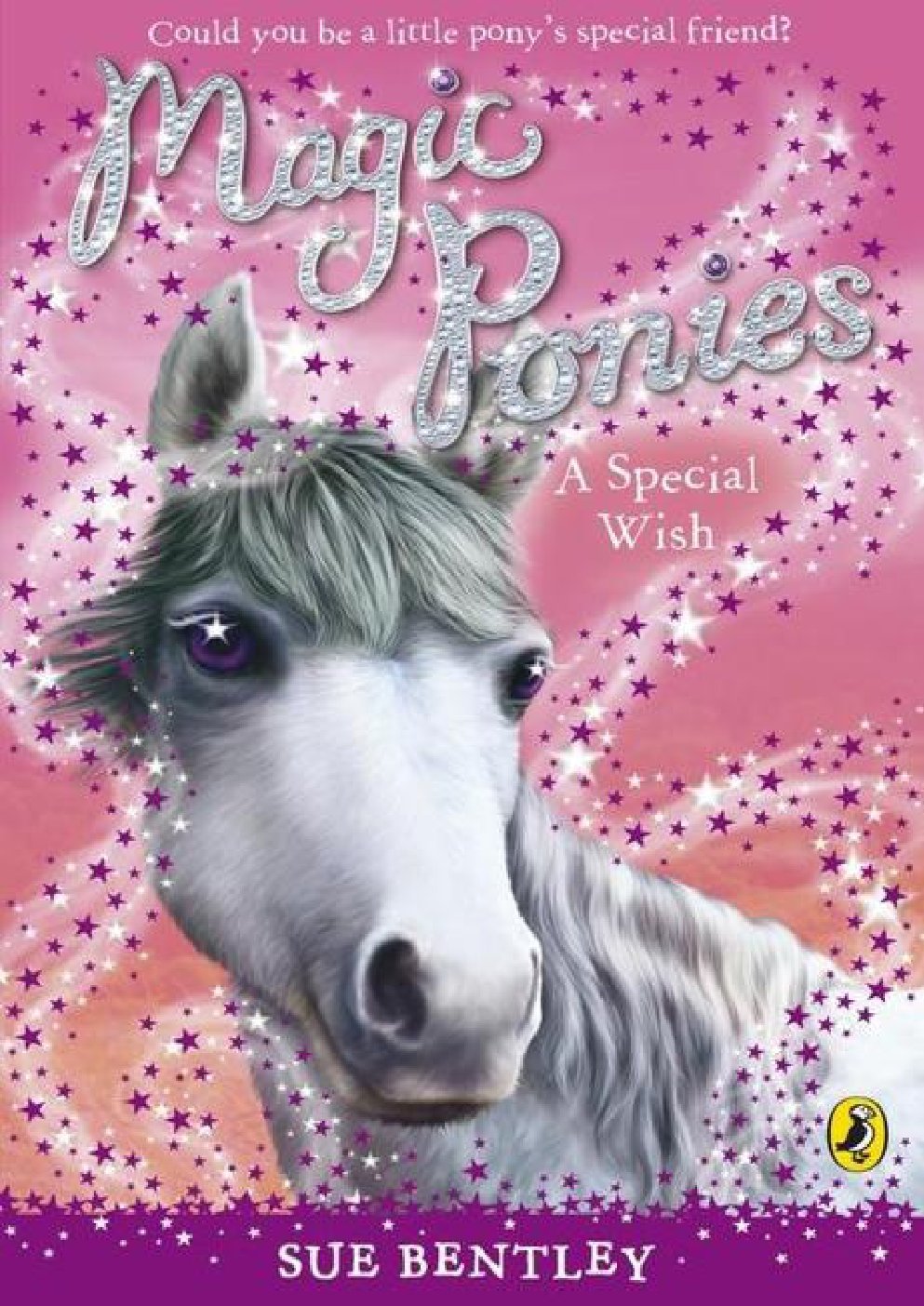 Cover of Magic Ponies- A Special Wish (2009)