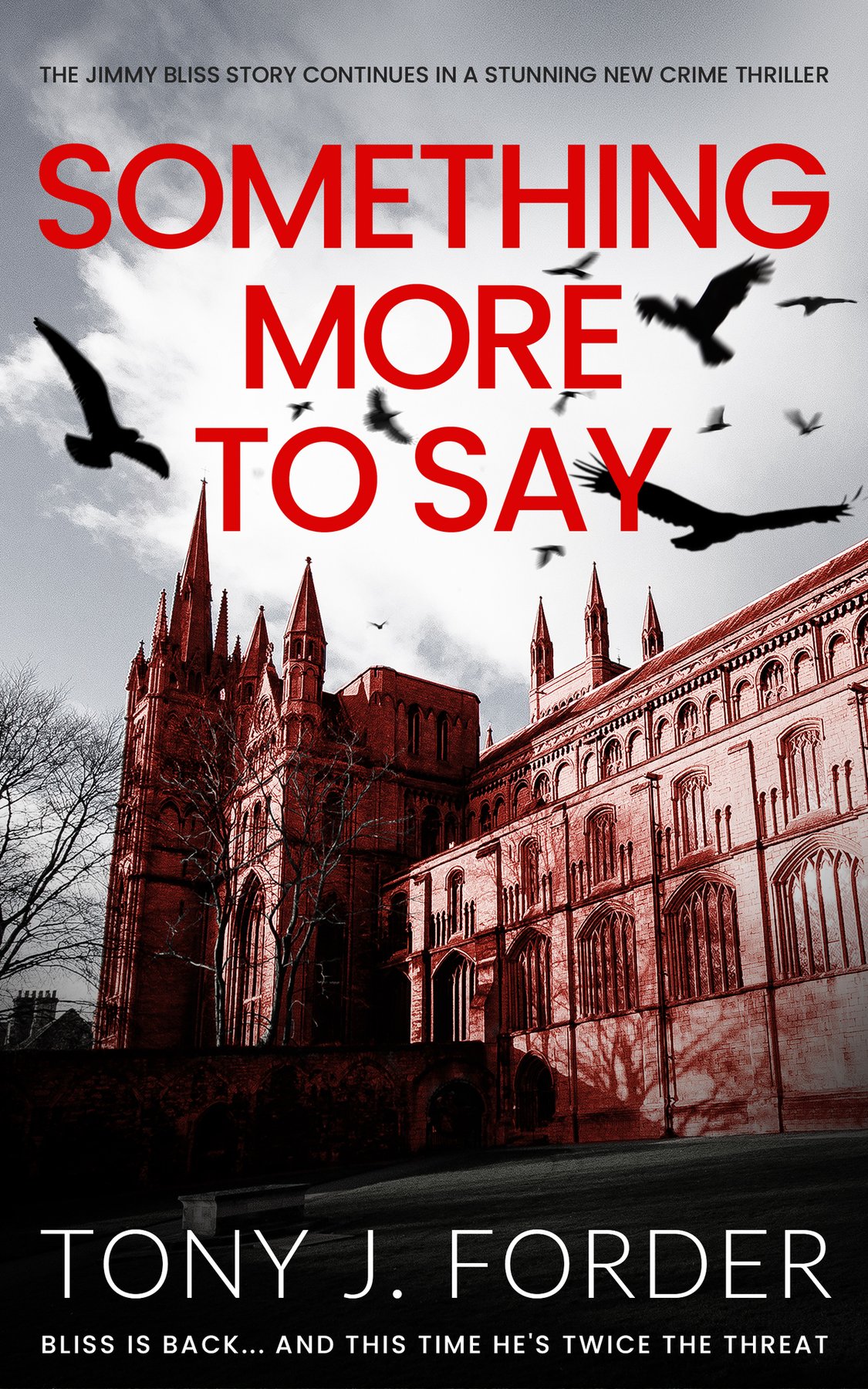 Cover of Something More To Say (1988)