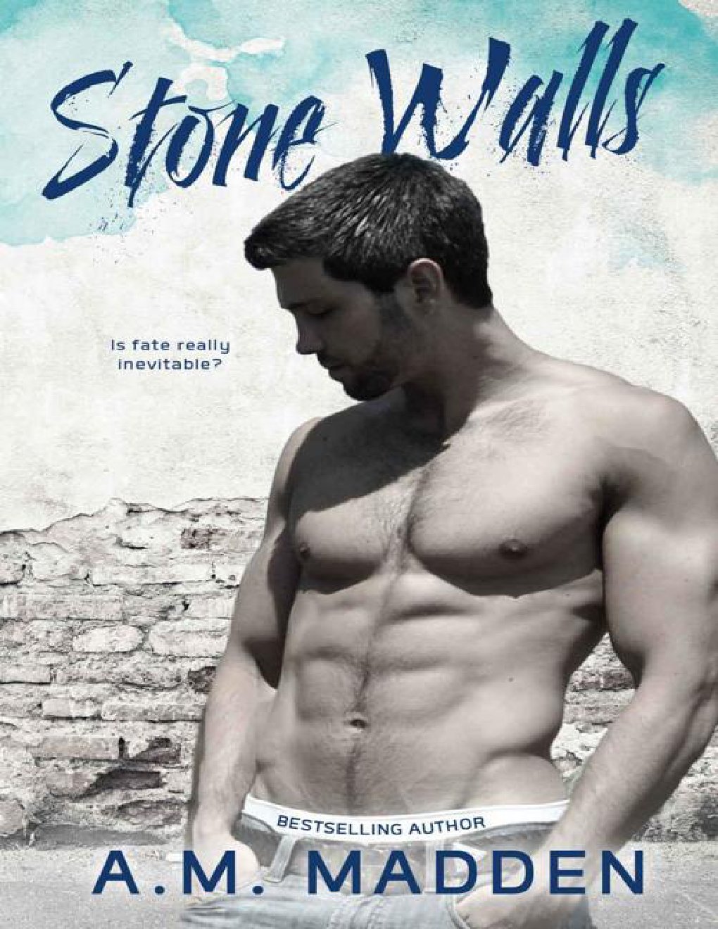 Cover of Stone Walls