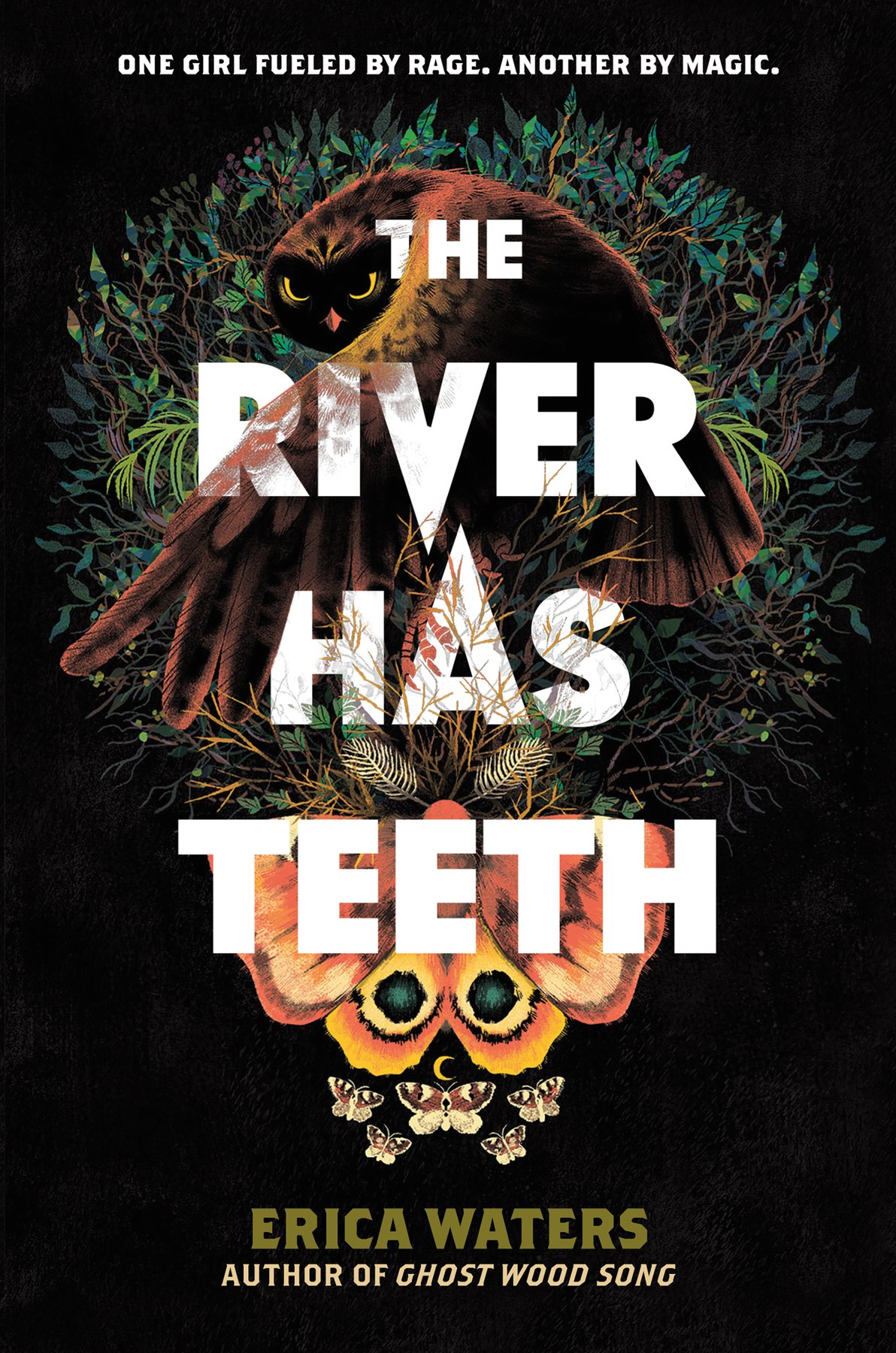 Cover of The River Has Teeth (2021)