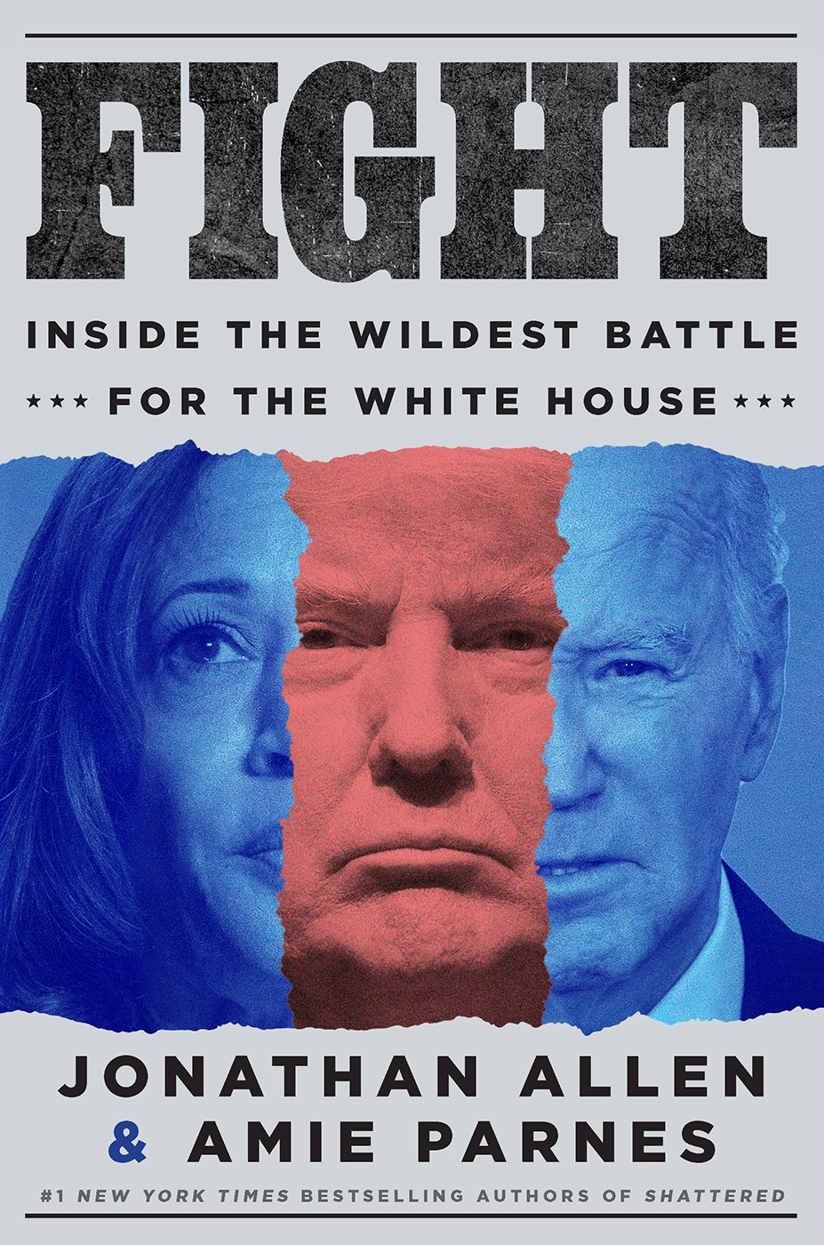 Cover of Fight