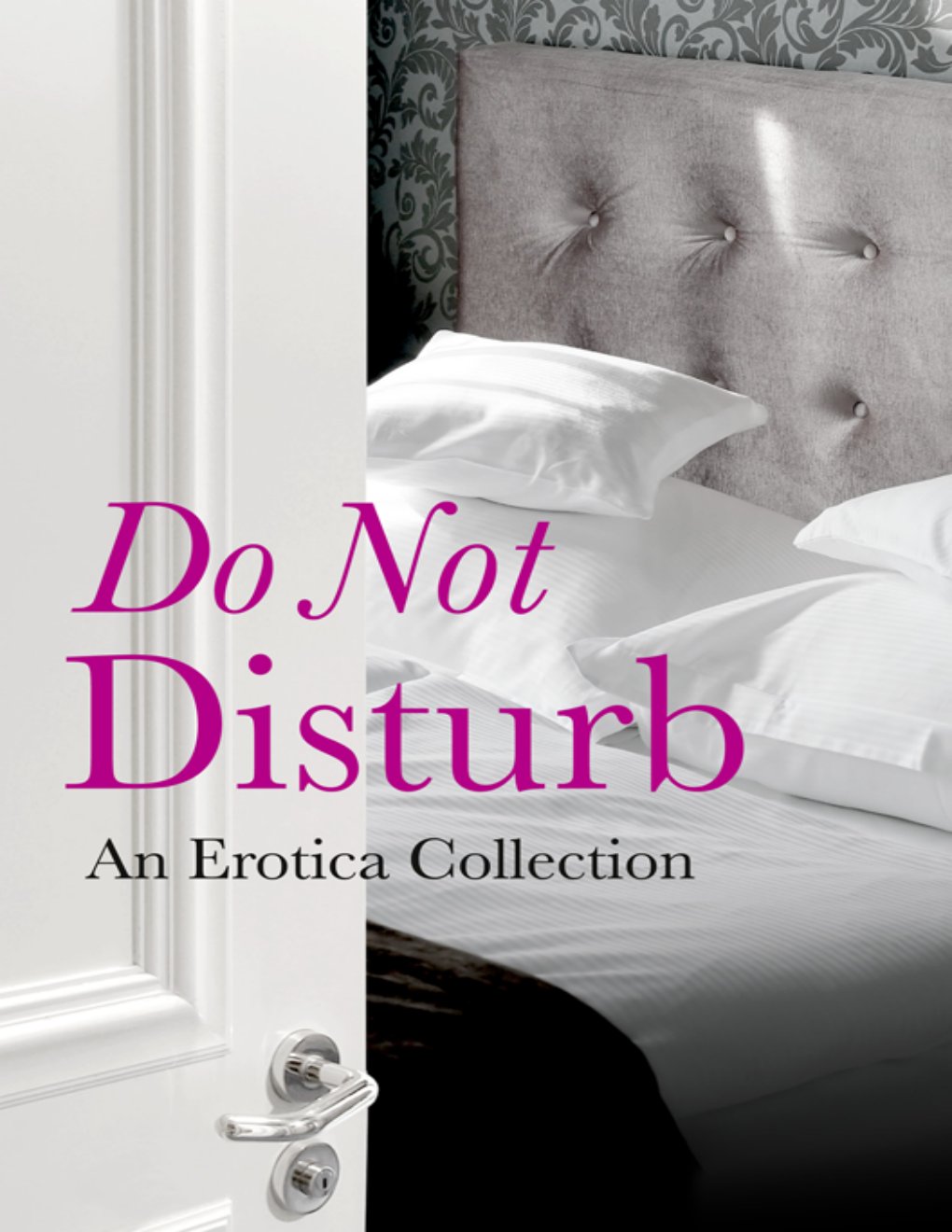 Cover of Do Not Disturb (2000)