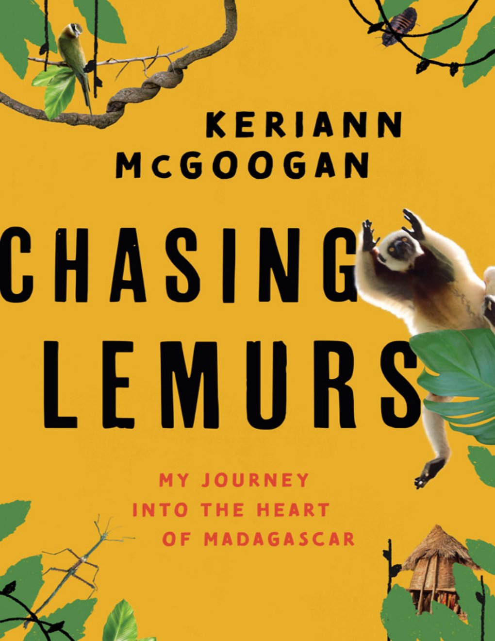 Cover of Chasing Lemurs
