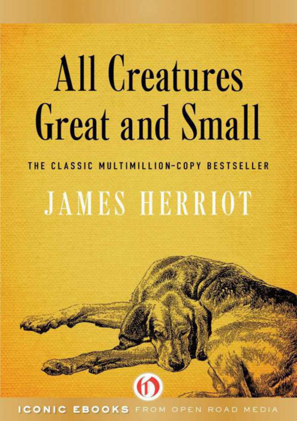 Cover of All Creatures Great and Small