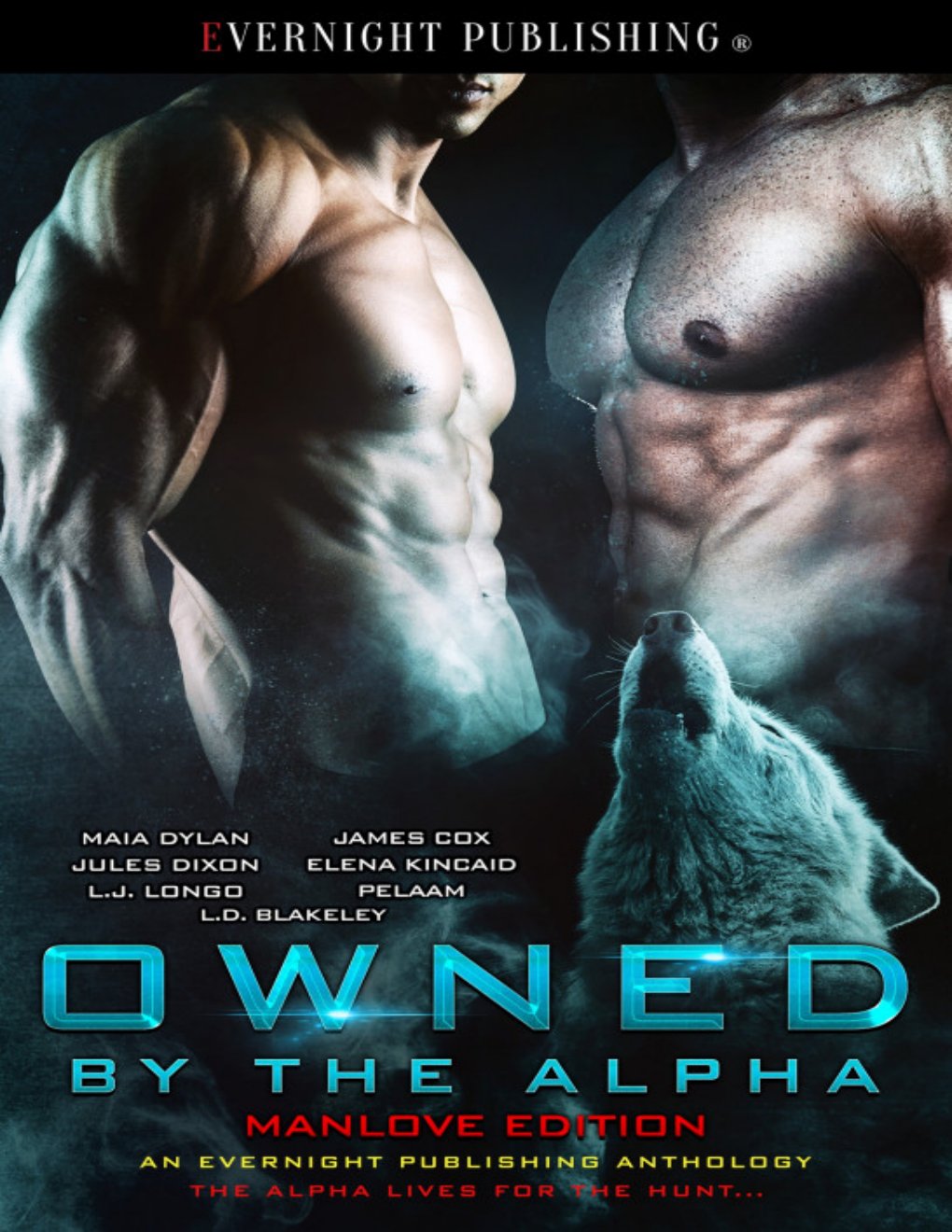Cover of Owned by the Alpha